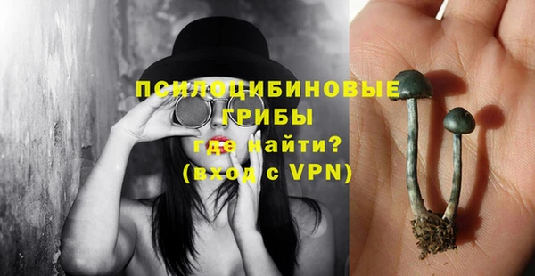 apvp Баксан